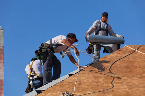 Best Roof Waterproofing Services  in Ansted, WV
