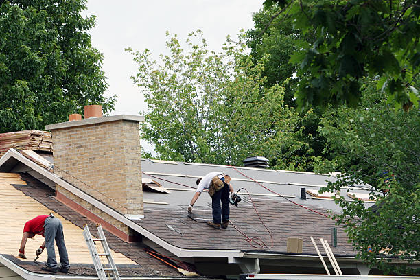 Best Roof Repair Services  in Ansted, WV