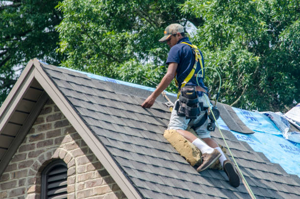 Best Roof Repair Services  in Ansted, WV